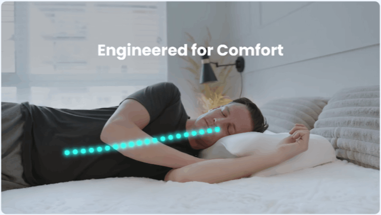 Ergo Z Pillow