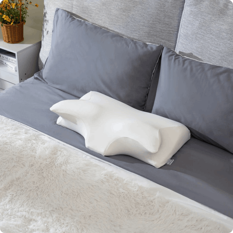 Ergo Z Pillow